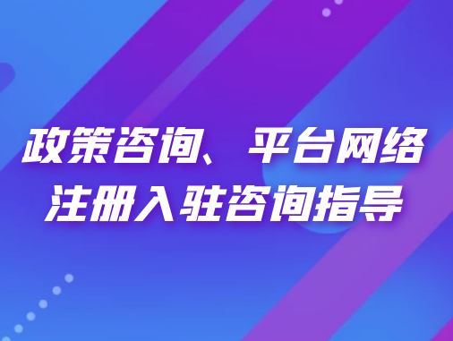 政策咨詢、平臺網(wǎng)絡注冊入駐咨詢指導